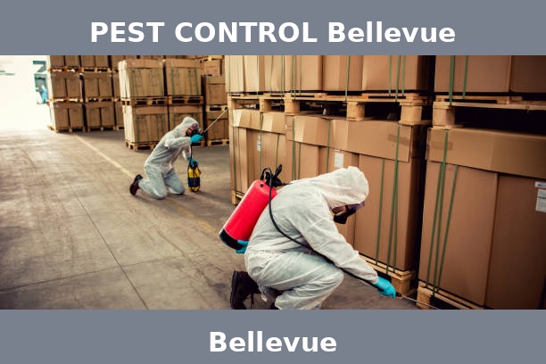 PEST CONTROL Bellevue